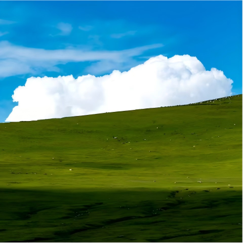 26052715283465310.png