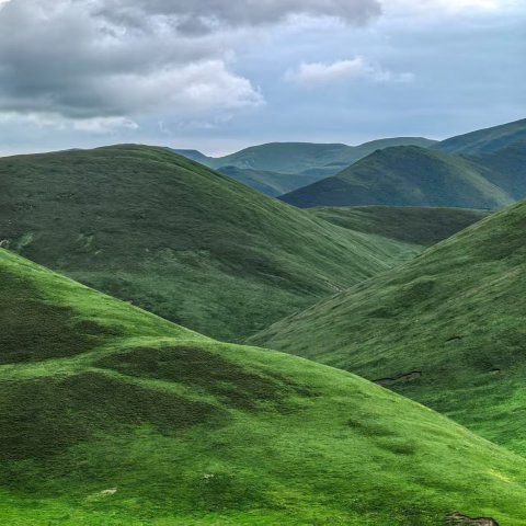 26061111014229891.jpg